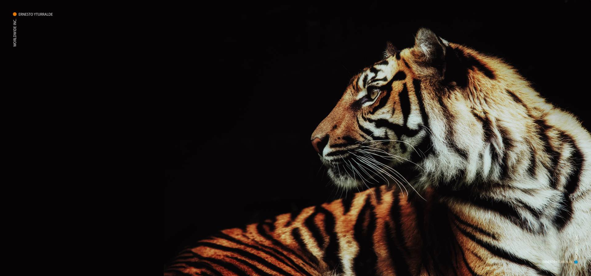 Objetivos de los team Building para tu Fuerza de Ventas